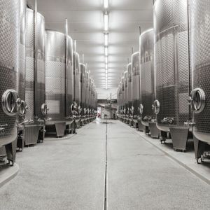 Weingut Schloss Gobelsburg