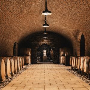 Weingut Schloss Gobelsburg